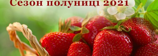 Сезон полуниці в самому розпалі: як вибирати, мити і зберігати весняну ягоду (інфографіка)