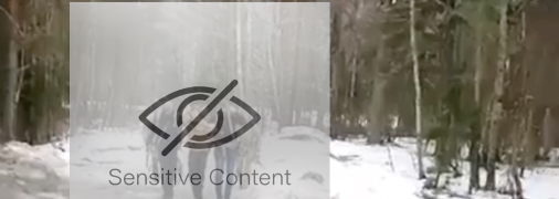 Чоловіка з відрізаним вухом вели до місця допита під руки