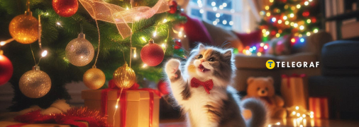 Кіт грає з іграшкою