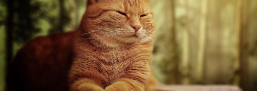 Гороскоп для Весов, Водолеев и Рыб