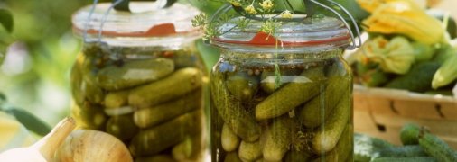 Дачные заготовки: малосольные огурцы