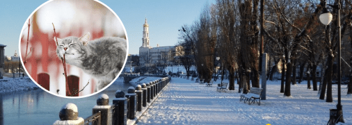 Погода зимой