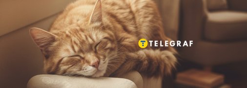 Перед опалювальним сезоном батареї потрібно перевірити та очистити