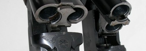 Рушниця (тематичне фото)