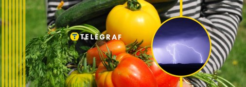 Овощи капризны к погоде