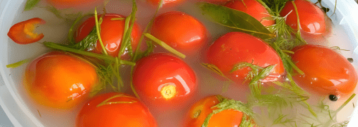 Квашені помідори