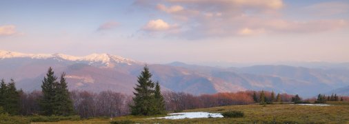 Какой сегодня праздник 11 марта