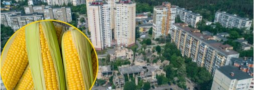 Виноградар