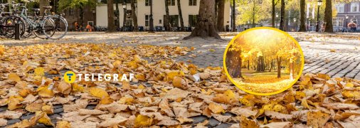 Погода в ноябре