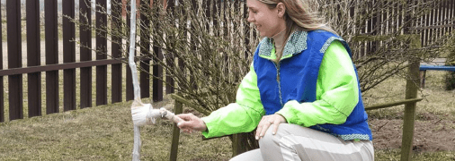 Побілка дерев