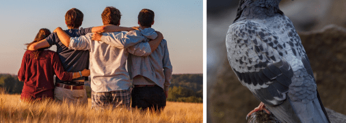 В Україні з'явилася нова субкультура