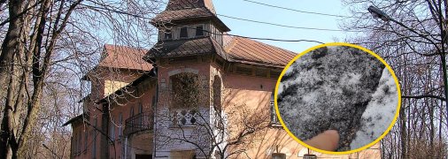 Інститут рослинництва імені В. Я. Юр’єва НААН