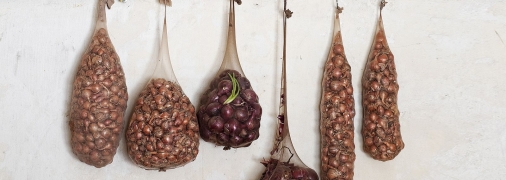 Ці способи полегшити непросте життя швидко стали звичкою