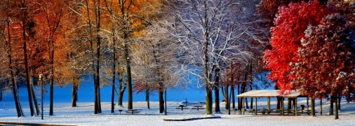 Осінь на Троєщинських ставках