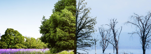 Дві кліматичні зони перетинаються на Дніпрі