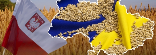 Скандал навколо українського зерна в Польщі лише набирає обертів
