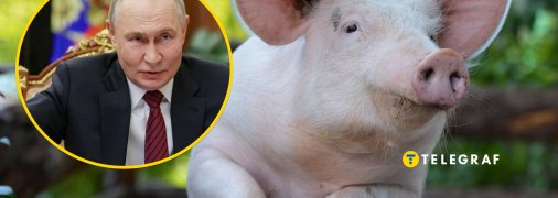 Володимир Путін і "підсвинок"