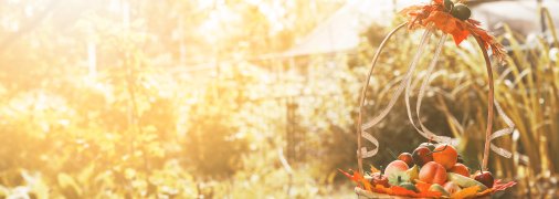 Осінній сад потрібно підготувати до зими