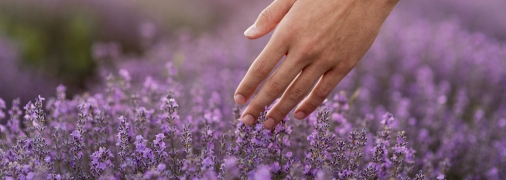 Идеи дизайна с лавандовым цветом