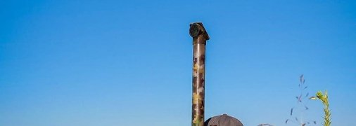 Денис Силинник