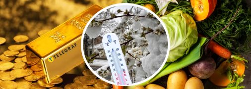 Ціни на овочі і фрукти