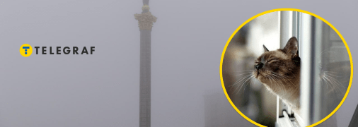 Погода у Києві