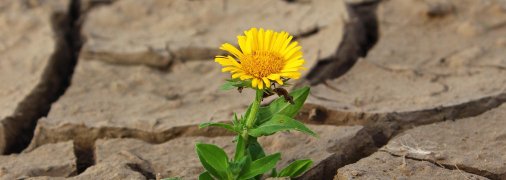 Украинцам придется привыкать к резким изменениям погоды