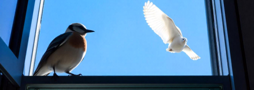 Украинский правильно "форточка"