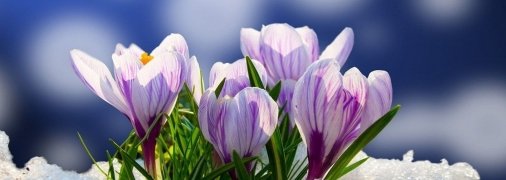 Майже весна