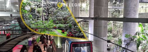 Сад в метро Парижа