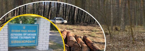 Парк "Белоозерский" и дальше будет в ведении Госуправления делами. Фото Коллаж "Телеграфа"