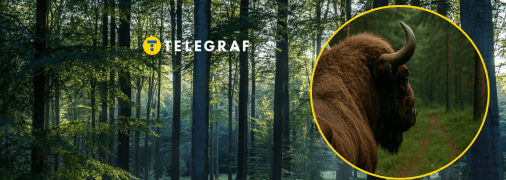 Небезпечна тварина поводилась дивно