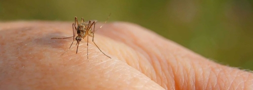 Увидите результаты в кратчайшие сроки