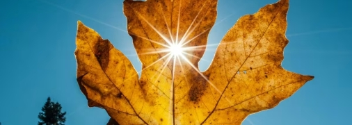 Осеннее равноденствие принесет большую удачу