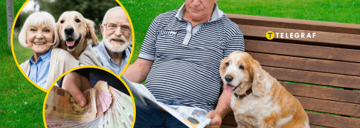 Завдяки улюбленцям можна поповнити бюджет