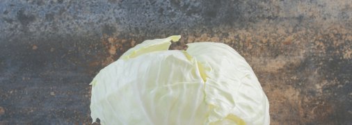 Важливо обрати правильний сорт капусти