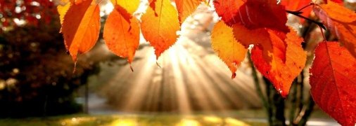 Останнє осіннє тепло