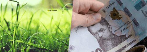 Заробіток на траві