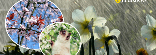 Конец второго месяца весны не будет теплым