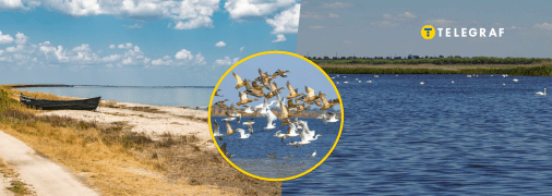 Тузловские лиманы в Одесской области