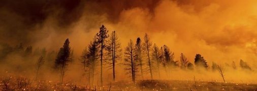 Как в аду: страшная жара в США привела к масштабным пожарам (фото)