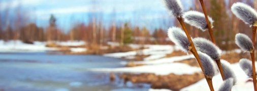 Весна стає часом для оновлення