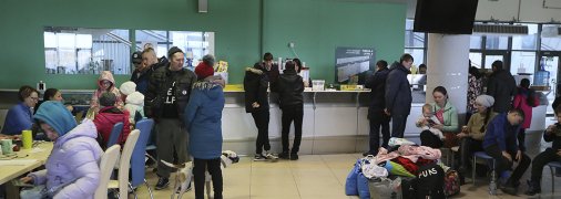 Переселенцы во Львове