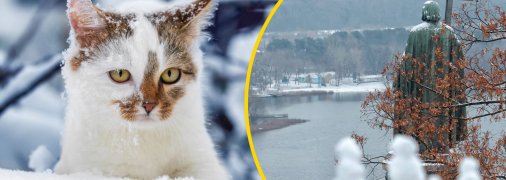 Погода в Киеве на 17-18 января