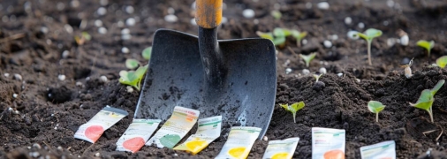 Есть много культур, которые можно посадить в феврале (изображение создано с помощью ИИ)