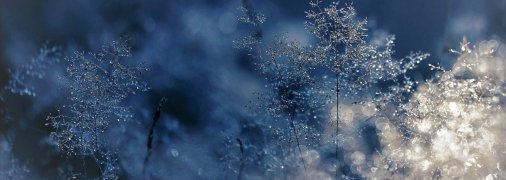 Зима в Украине обещает быть холодной