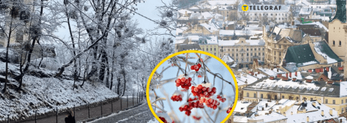 Погода у Львові