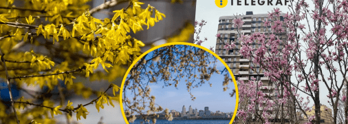 Погода у Дніпрі