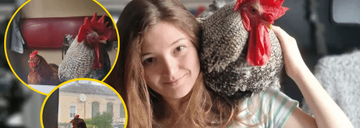 Девушка воспитывает птиц с их детства