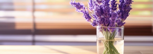 Ця рослина також має багато лікувальних властивостей